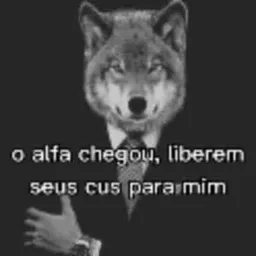 Pode tudo de todo mundo 🔞