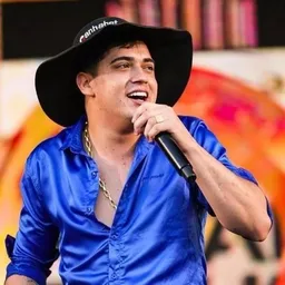 CORAÇÃO SERTANEJO, MÚSICA, AMIZADES E FIGURINHAS🎶💝🔥