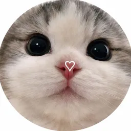 Miau Stickers 😺