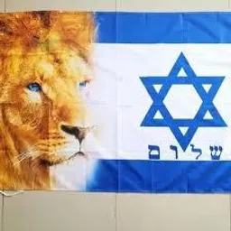 NOTÍCIAS DE ISRAEL